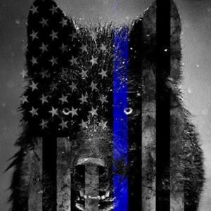 Meet your Posher, Halaina